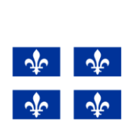 Immatriculation au Registraire des entreprises.